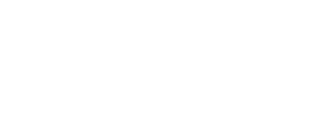 Corazón de Pelota
